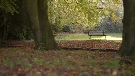 Lonley-empty-bench-that-views-onto-countryside-lawns