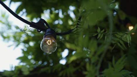 A-lightbulb-hanging-from-an-outdoor-pavilion-with-ivy-growing-around-it-during-the-summer