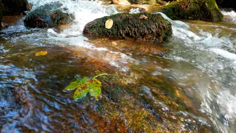 Fließendes-Wasser-Eines-Friedlichen-Baches-In-Einer-Bewaldeten-Umgebung
