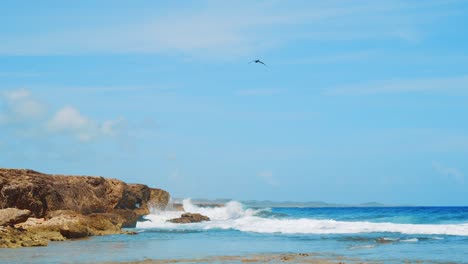 Zeitlupe,-Pelikan-Fliegt-über-Krachende-Wellen-Am-Karibischen-Strand,-Curacao