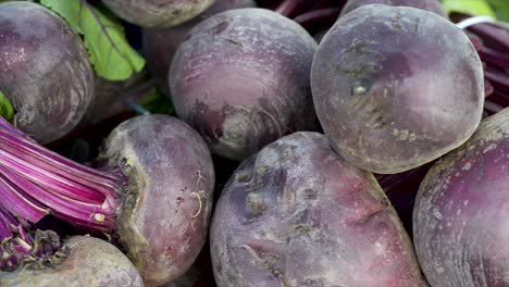 Fresh-beet-on-display-for-sale-at-free-fair
