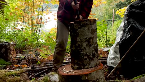 Closeup-chopping-firewood-in-a-rainforest-in-BC-with-an-axe