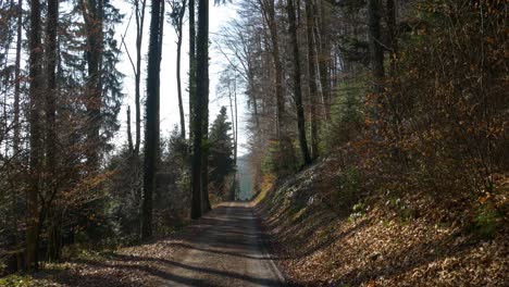 Unbefestigte-Straße-In-Einem-Wald-In-Der-Schweiz