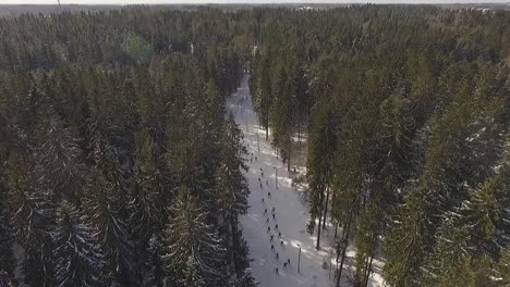Annual-Skiing-competition-in-Aluksne,-Latvia,-woods-and-sunny-day