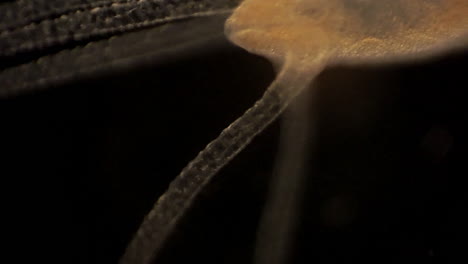Mikroskopische-Aufnahmen-Von-Hydra