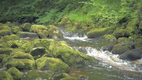 Río-Claddagh-En-Donegal-Irlanda-Agua-En-Cámara-Lenta-Que-Fluye-Hacia-La-Derecha-De-La-Cámara