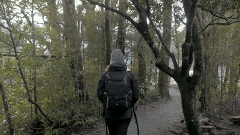 Girl-in-hiking-gear-walking-along-a-bridge-in-a-lush-green-forrest