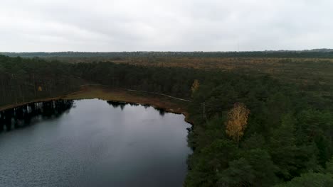 Bunte-Saisonale-Wälder-Und-Moorsee-Im-Herbst-Luftaufnahmen