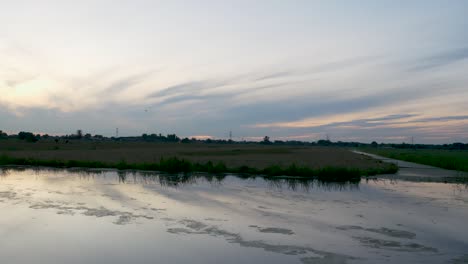 A-wide-shot-of-the-Dutch-countryside,-called-the-polder,-near-Gouda,-we-see-birds-flying-around,-it's-around-sunset