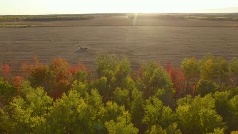 Der-Wind-Weht-Bäume-Mit-Blättern-In-Herbstfarben,-Während-Sich-Die-Kamera-über-Ein-Feld-Mit-Großen-Runden-Stroh--Oder-Heuballen-Bewegt
