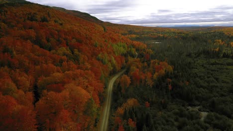 Aerial-footage-lowering-down-close-to-a-dirt-road-in-an-autumn-forest-in-northern-maine