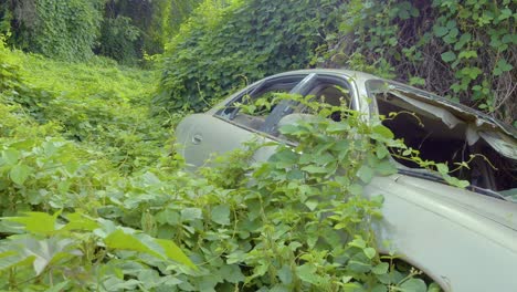 Un-Accidente-Automovilístico-Abandonado-En-La-Jungla-De-Hawai,-Cubierto-De-Enredaderas