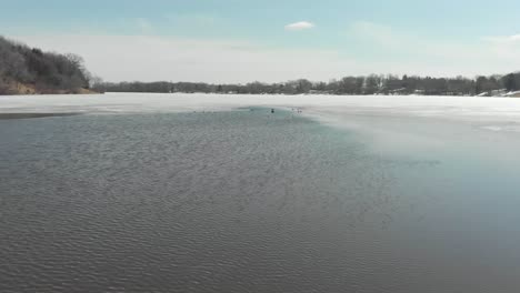 Luftdrohnenvideo-Vom-Lake-Susan-In-Chanhassen,-Minnesota,-Der-Durch-Einen-Schmalen-Bach-Hinaus-In-Die-Schmelzende-Eisfläche-Fliegt,-Um-Gänse-Und-Seetaucher-Zu-Zeigen
