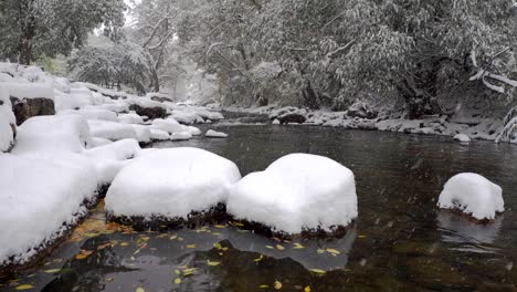Schnee-Fällt-In-Zeitlupe-In-Den-Boulder-Creek,-Boulder,-Colorado