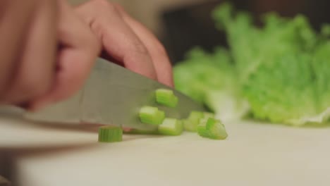 Vegetable-slice-cutting,-Vegetable-slice-cutting