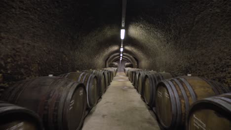 Wine-barrels-in-a-vineyard-forward-movement