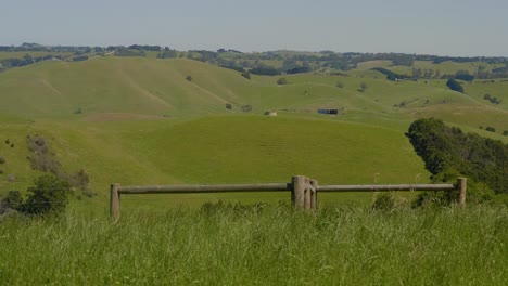 Beautiful-lush-green-hills-in-Victoria-Australia-with-old-wooden-farm-fencing