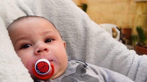 CLOSE-UP-of-cute-baby-sucking-on-a-ladybug-pacifier-while-watching-the-camera