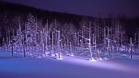 Estanque-Azul-Biei-En-Invierno-Hokkaido-Japón