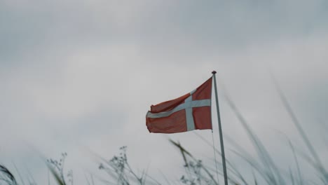 Die-Dänische-Flagge-Flattert-Im-Wind-Mit-Gras-Im-Vordergrund-In-Leichter-Zeitlupe
