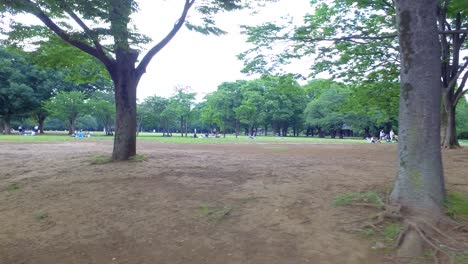 Slide-view-of-Yoyogi-park