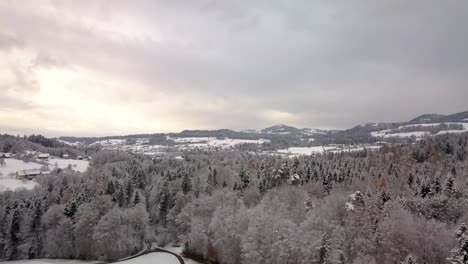 Vuelo-Sobre-Un-Bosque-En-Suiza-Durante-El-Invierno