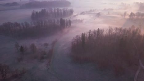 Aerial-footage-of-a-forests-and-trees-of-a-landscape-park-in-Lower-Silesia,-Poland