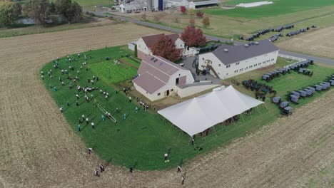 Ariel-View-of-an-Amish-Wedding-on-an-Autumn-Day-with-Buggies,-an-Amish-Playing-Volley-Ball-as-seen-by-a-Drone
