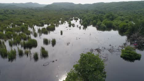 Aerial-shot-of-the-mangrove-La-Ventanilla,-Oaxaca