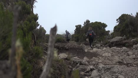 Zwei-Junge-Frauen-Wandern-Den-Kilimandscharo-Hinunter,-Umgeben-Von-Bäumen-Mit-Dicken-Wolken-Im-Hintergrund
