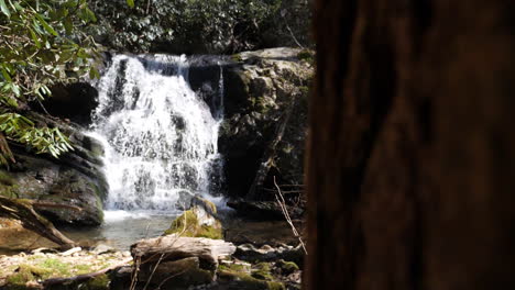 Slow-motion-waterfall-wide-shot-with-tree-in-foreground,-shot-at-180-frames-per-second