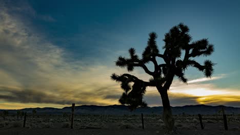 Stationärer-Zeitraffer-Der-Sonnenuntergangswolken-über-Einem-Joshua-Baum,-Einem-Drahtzaun-Und-Fernen-Bergen-In-Kalifornien