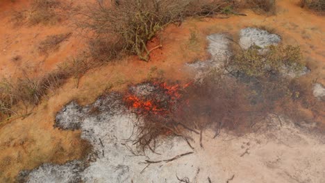 Feuer-Im-örtlichen-Samburu-Dorf-Im-Norden-Kenias
