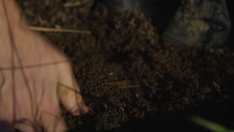 Farmer-hands-planting-in-tilled-soil