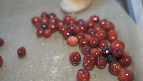 Slow-motion-macro-close-up-pan-down-of-fresh-red-cranberries,-white-sugar,-and-wooden-spoon-on-tray-for-holiday-dessert
