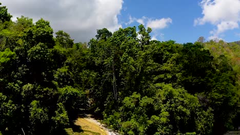 Una-Hermosa-Cascada-Cae-Por-Un-Acantilado-En-Una-Hermosa-Piscina-Turquesa-Debajo-En-Medio-De-Una-Exuberante-Jungla-Verde-En-Bohol,-Filipinas