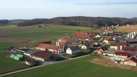 Idillyc-village-in-Slovenia,-central-Europe-from-air,-rustic-traditional-houses-with-farms,-surrounded-by-fields-and-meadows