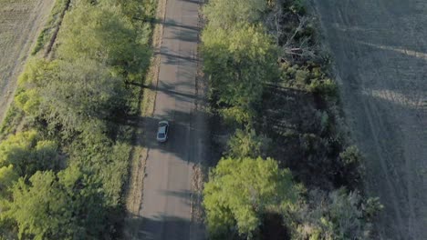 AERIAL-Tracking-Shot-of-Car-on-TarRoad-in-between-Tree-Line-with-Green-Field