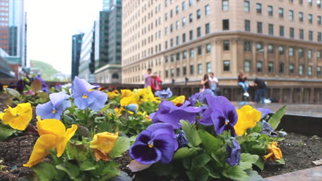 Flowers-and-Couples-hanging-out-in-downtown-Montreal