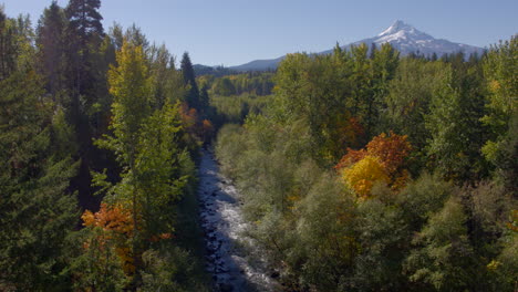 Aerial-view-looking-down-a-small-creek-nestled-in-pines-and-deciduous-trees-starting-to-show-autumn-colors-and-rising-up-to-reveal-a-snow-capped-Mt-Hood-in-the-distance