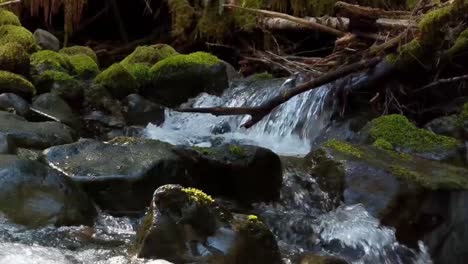 water-cascading-over-moss-covered-rocks-in-a-mountain-stream-on-a-warm-spring-day