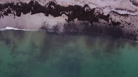 Birds-eye-view-of-waves-breaking-onto-a-beach-filled-with-seaweed