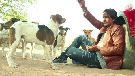 Low-angle-shot-of-young-Man-feeding-street-dogs-a-piece-of-tasty-biscut-from-the-hand