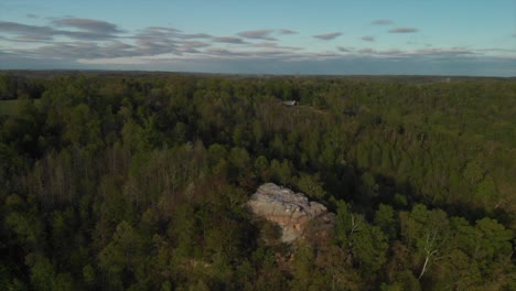Rock-in-middle-of-natural-forest-dolly-4K