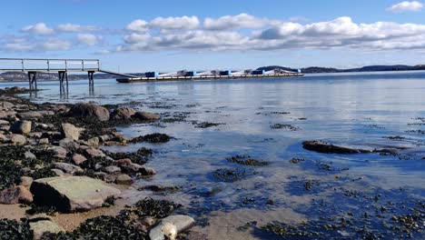 Pan-Of-Rural-Scandinavian-West-Seacoast-With-Pebbles-And-Seaweed-During-A-Sunny-Day