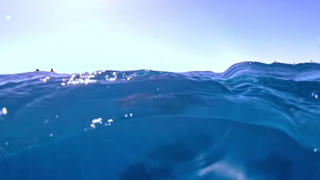 Snorkel-En-Busca-De-Delfines