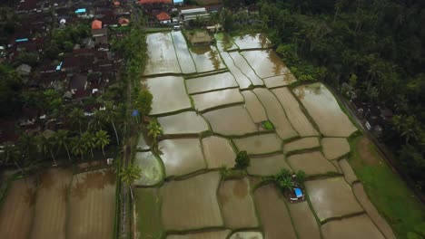 Drone-shot-flying-over-dozens-of-flooded-Rice-Terraces-in-Bali,-Indonesia