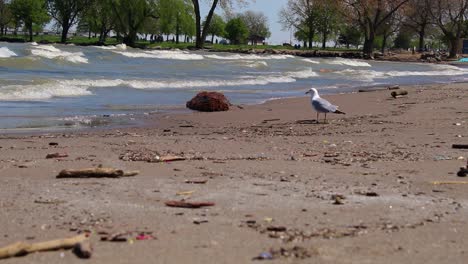 Trash-on-the-beach-in-Cleveland,-Ohio