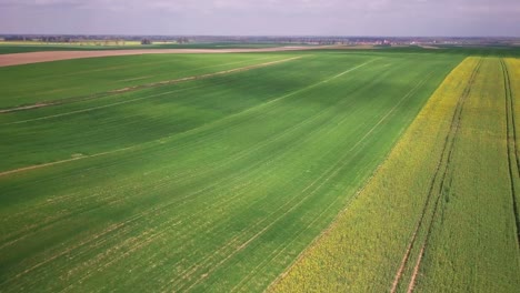 Luftaufnahmen-Von-Landwirtschaftlichen-Feldern-In-Polen