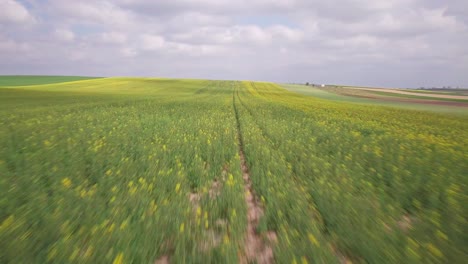 Aerial-footage-of-farmfields-in-Poland